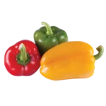 Bell pepper