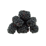 Blackberry