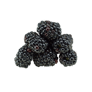 Blackberry