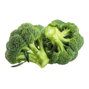 Broccoli