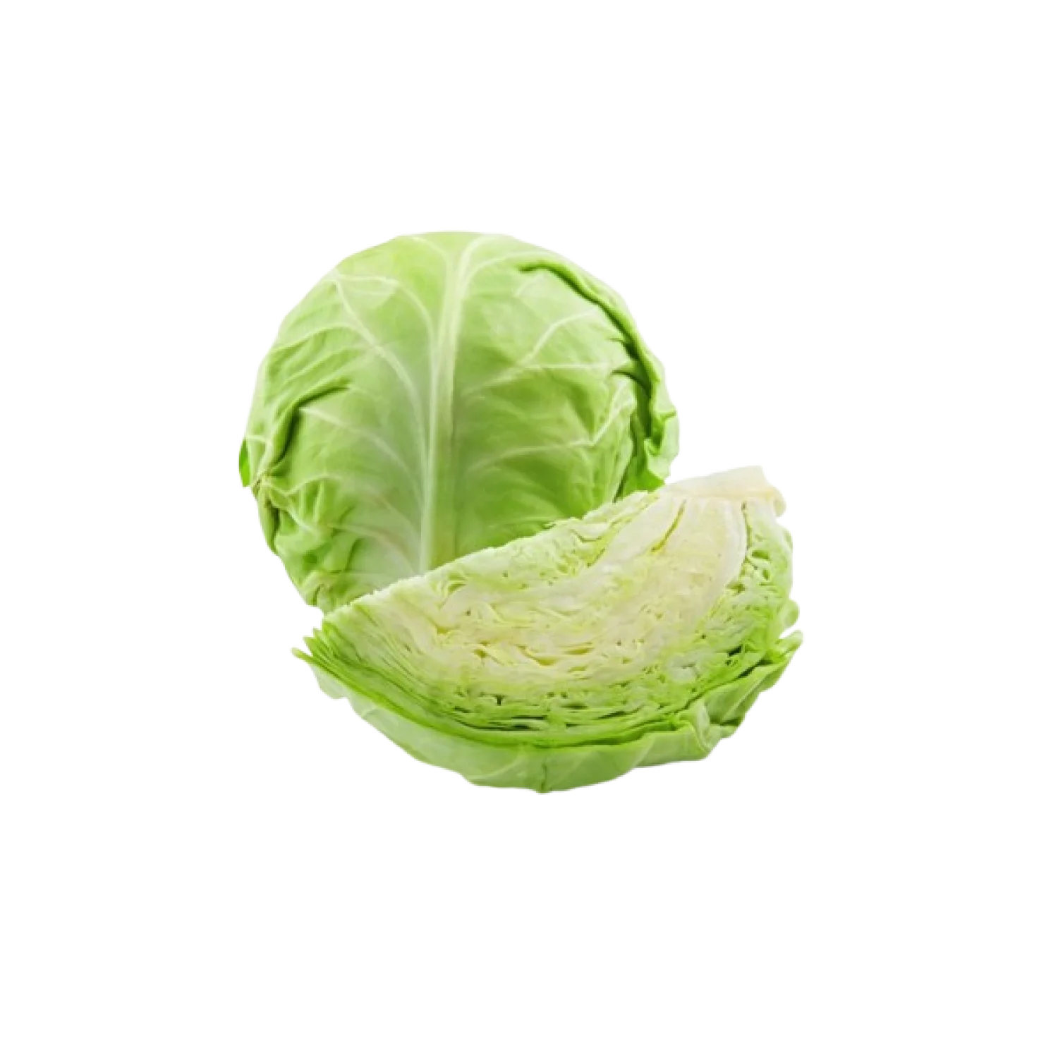 Cabbage-Product-img12