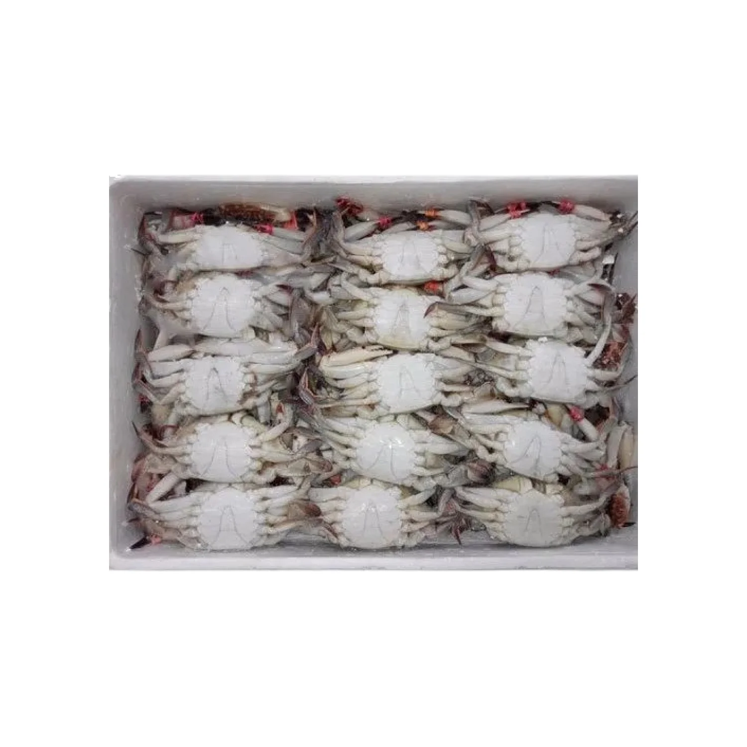 Crabs-Product-img017