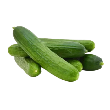 Cucumber