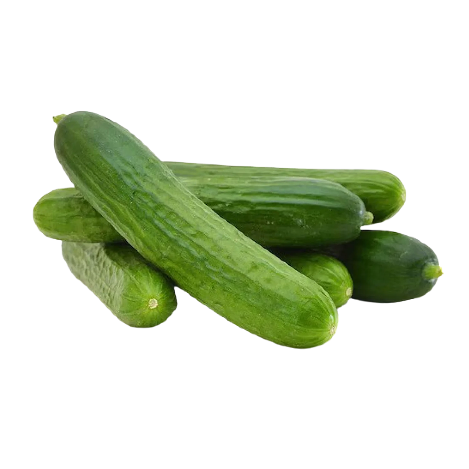 Cucumber-Product-img11