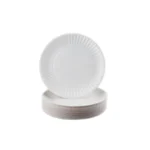 Disposable-Plates-Product-Images