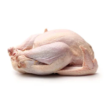 Fresh Turkey