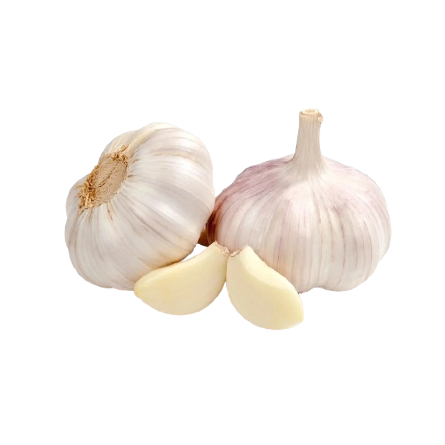 Garlic-Product-img08