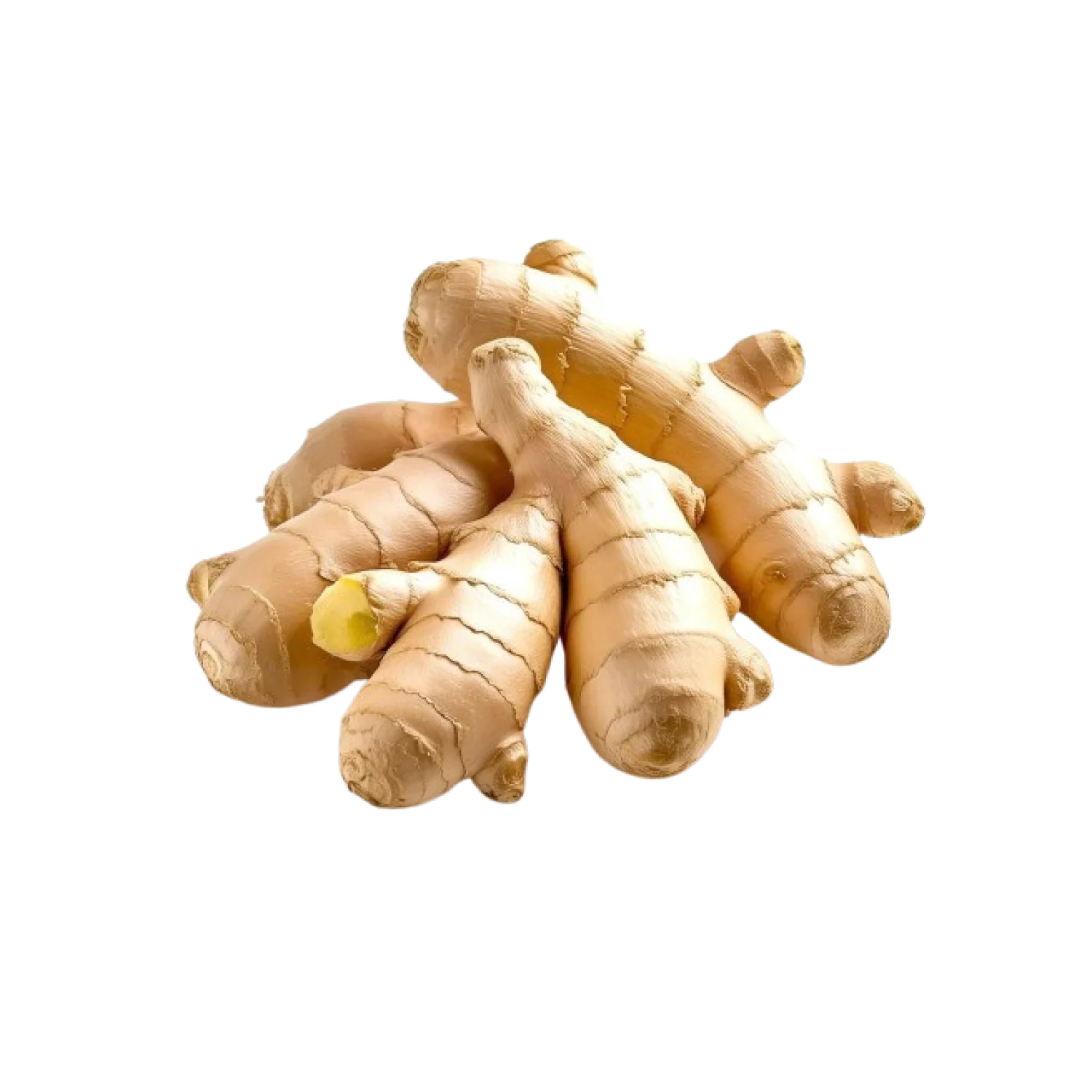 Ginger-Product-img14