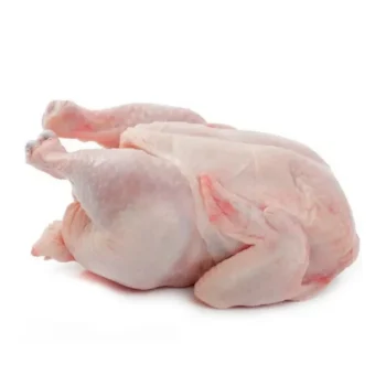 Jumbo Chicken
