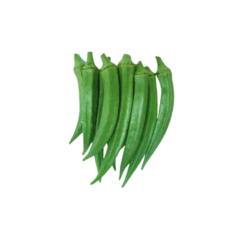 Lady Finger