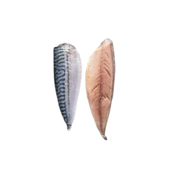 Mackerel