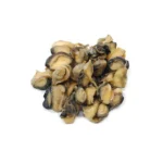Snails-Prodicy-img0200